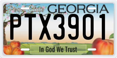 GA license plate PTX3901