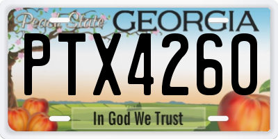 GA license plate PTX4260