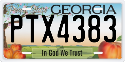 GA license plate PTX4383