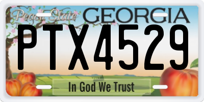 GA license plate PTX4529