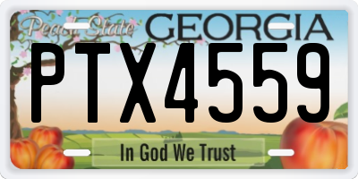 GA license plate PTX4559