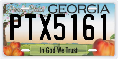 GA license plate PTX5161