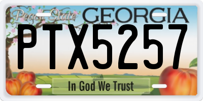 GA license plate PTX5257