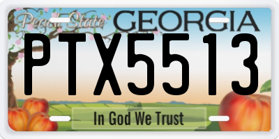 GA license plate PTX5513