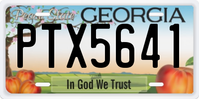 GA license plate PTX5641