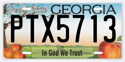 GA license plate PTX5713