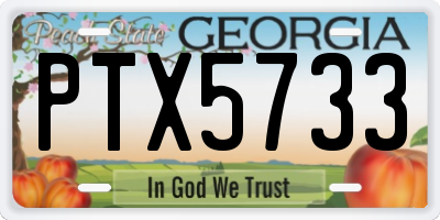 GA license plate PTX5733