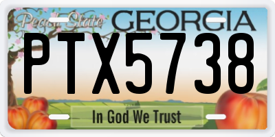 GA license plate PTX5738