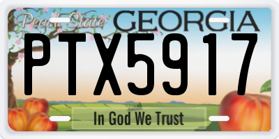 GA license plate PTX5917
