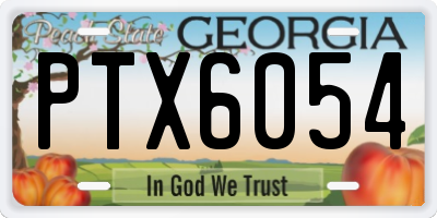 GA license plate PTX6054