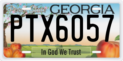 GA license plate PTX6057