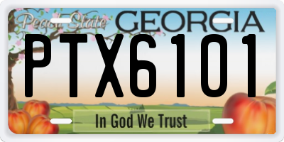 GA license plate PTX6101