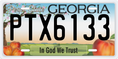 GA license plate PTX6133