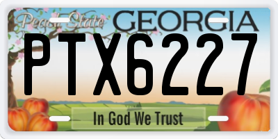 GA license plate PTX6227