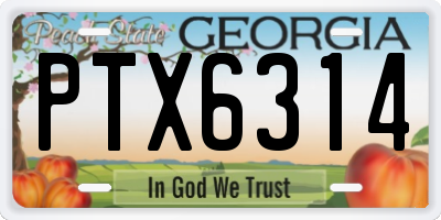 GA license plate PTX6314