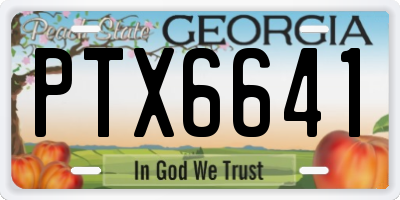 GA license plate PTX6641