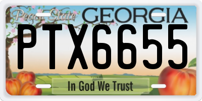 GA license plate PTX6655