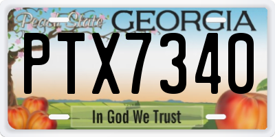 GA license plate PTX7340