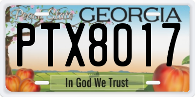 GA license plate PTX8017