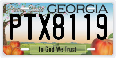 GA license plate PTX8119