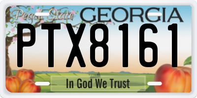 GA license plate PTX8161