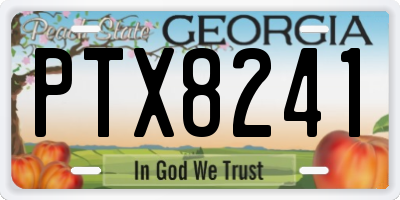 GA license plate PTX8241