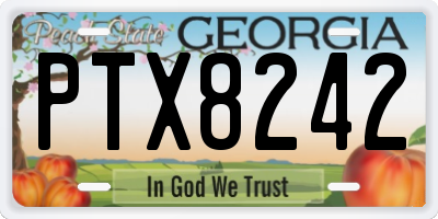 GA license plate PTX8242