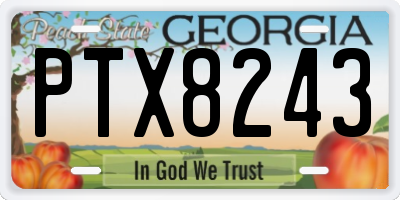 GA license plate PTX8243