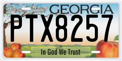 GA license plate PTX8257