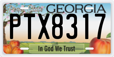 GA license plate PTX8317