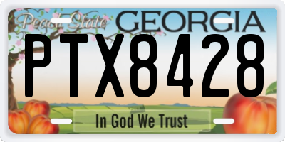 GA license plate PTX8428