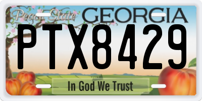 GA license plate PTX8429