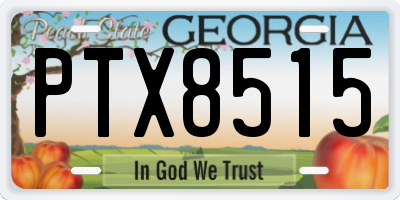 GA license plate PTX8515