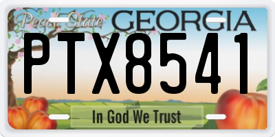 GA license plate PTX8541