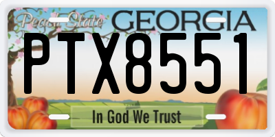 GA license plate PTX8551