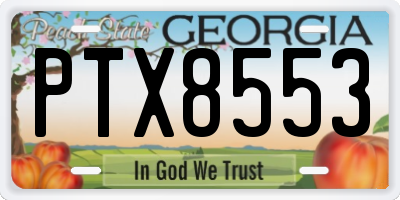 GA license plate PTX8553