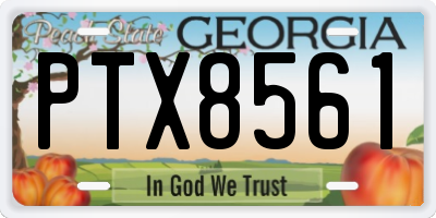 GA license plate PTX8561