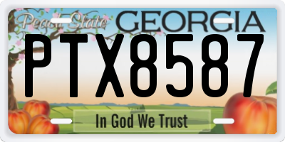 GA license plate PTX8587