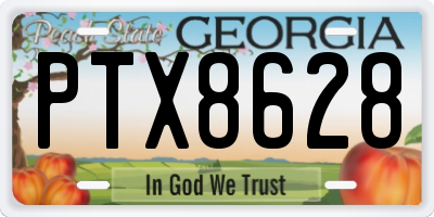GA license plate PTX8628