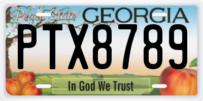 GA license plate PTX8789