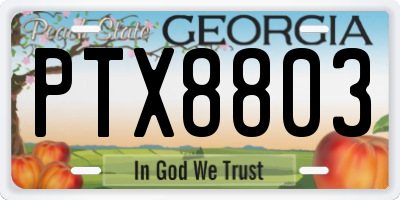 GA license plate PTX8803