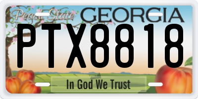 GA license plate PTX8818