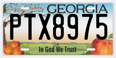GA license plate PTX8975