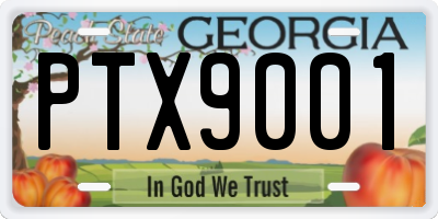 GA license plate PTX9001