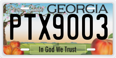 GA license plate PTX9003