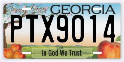 GA license plate PTX9014