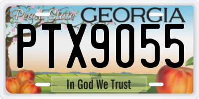 GA license plate PTX9055