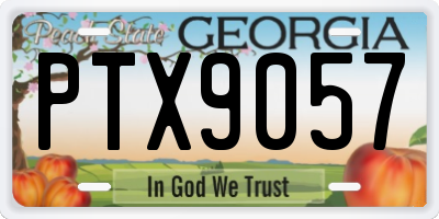 GA license plate PTX9057