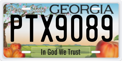 GA license plate PTX9089