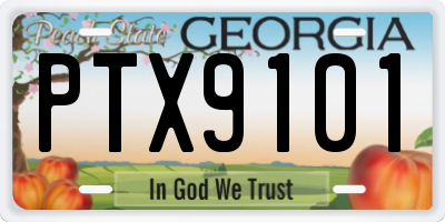 GA license plate PTX9101